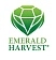 Emerald Harvest
