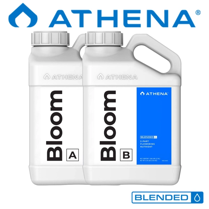 Athena Bloom A&B от магазина GrowMix