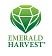 Emerald Harvest